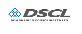Johns Automation and Electrical Panel Customer - dcm shriram consolidated limited