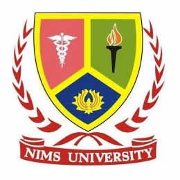 Johns Automation and Electrical Panel Customer - nims university